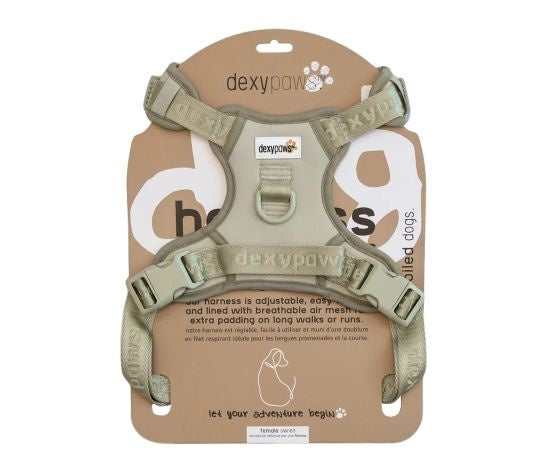 Dexypaws Harnais sans traction Vert sauge, Grand