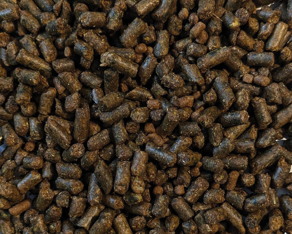 Brooks Eeze  Cube 25kg