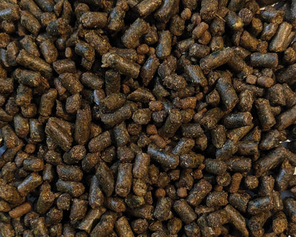 Brooks Eeze  Cube 25kg