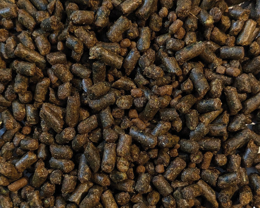 Brooks Eeze  Cube 25kg