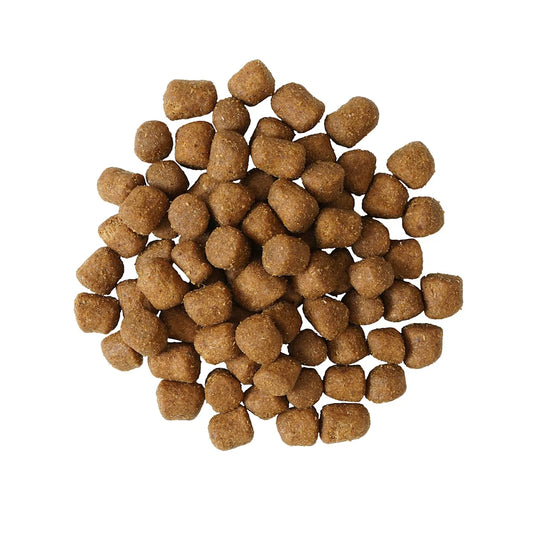 Go Santé Dentaire & Immunitaire Pour Chat Poulet Et Saumon Avec Grains 6lbs - Sabots et Museaux