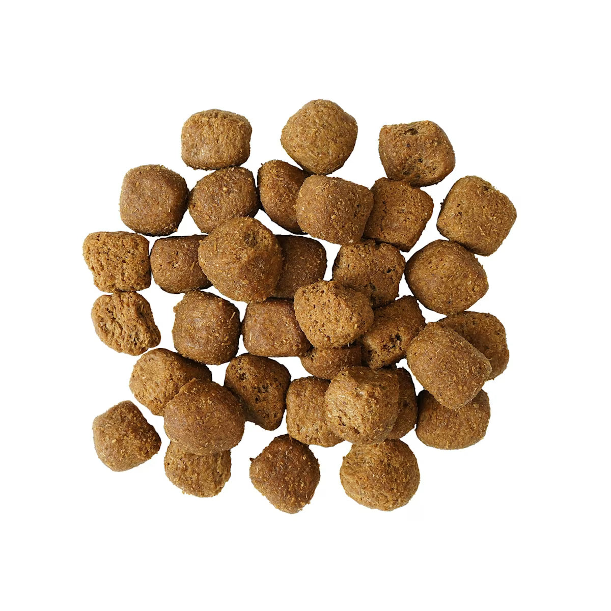 Go Santé Dentaire & Immunitaire Pour Chien Poulet Et Saumon Avec Grains 9lbs - Sabots et Museaux
