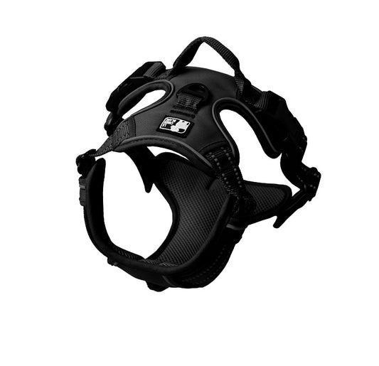 The White Dog Moe Harness Black, Large