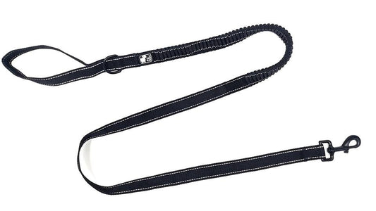 The White Dog Bungee Leash