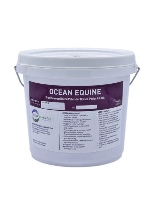 Ocean Équin 3 kg