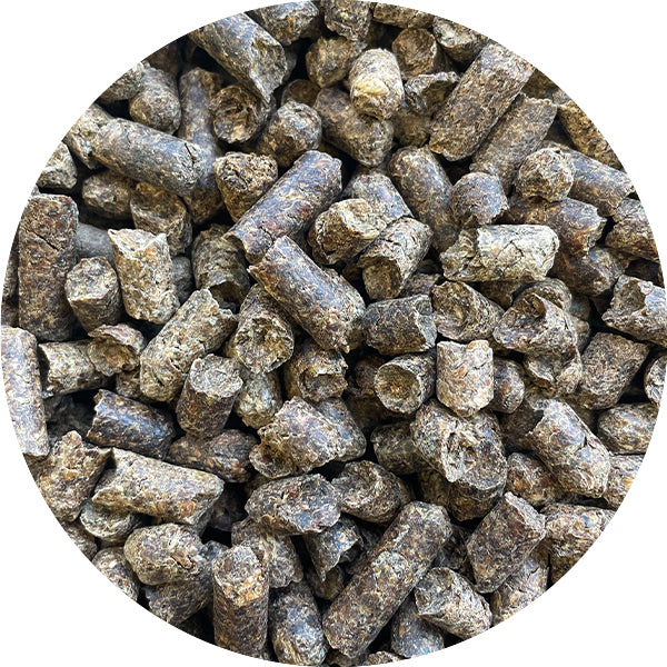 Soucy Pulp de Betterave Séchée Non Mélassée cubé 25kg