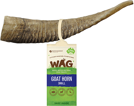 Wag Large Goat Horn