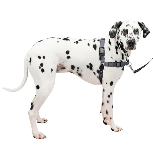 PetSafe Easy Walk Harnais Deluxe Gris Acier Grand