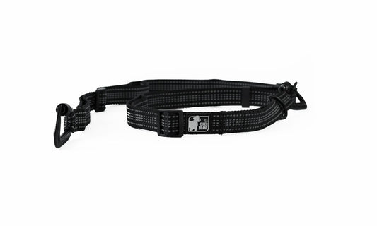 The White Dog Storm Multi-Purpose Leash