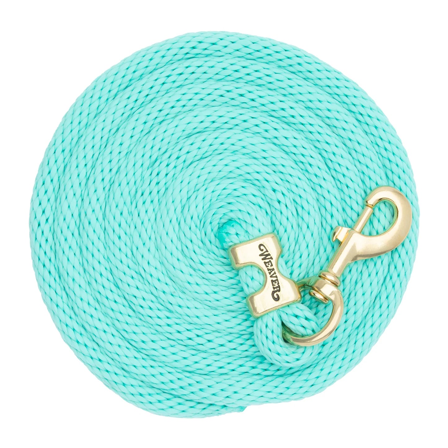 Weaver Laisse 10" brass 225 - Solide Turquoise