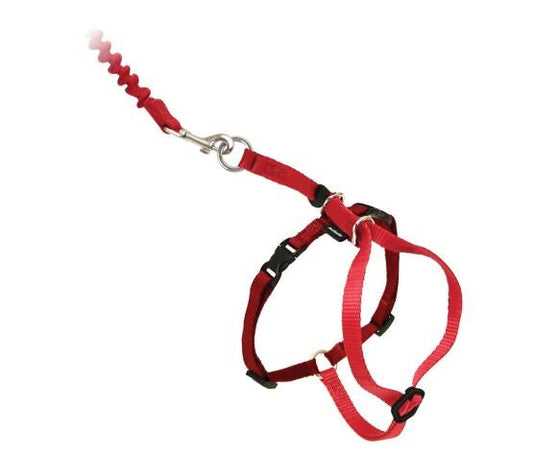 Pet Safe Red Cat Harness, Medium